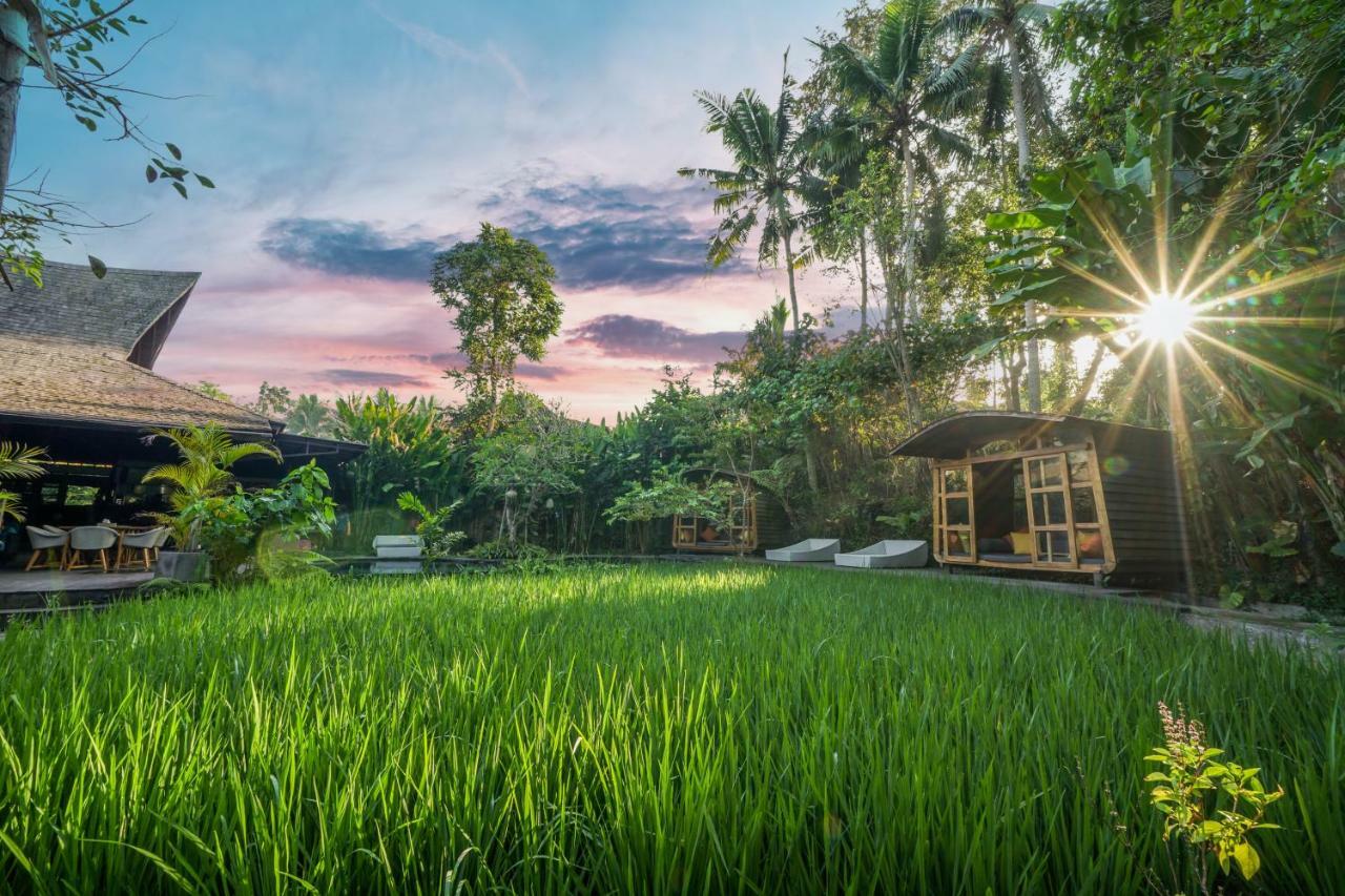 Surya Kembar Villas Ubud Extérieur photo